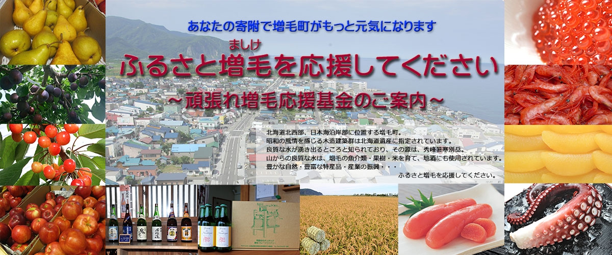 頑張れ増毛応援寄附