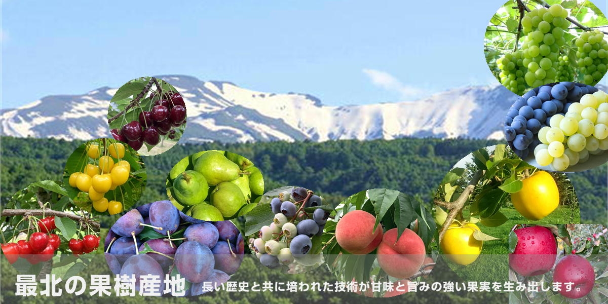 最北の果樹産地
