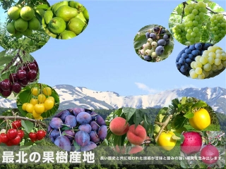最北の果樹産地